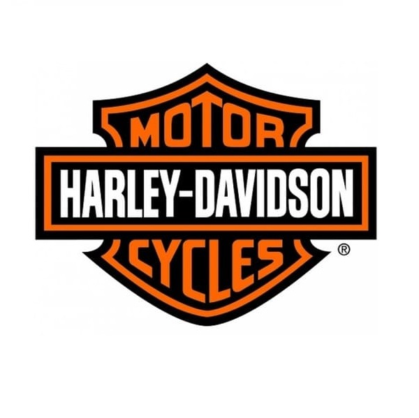 motors para niños harley davidson